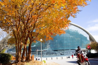 exterior of stegeman coliseum