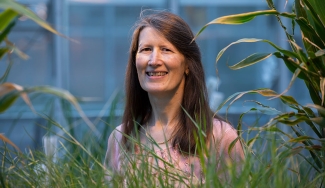 photo of woman in greenhouse, with plants