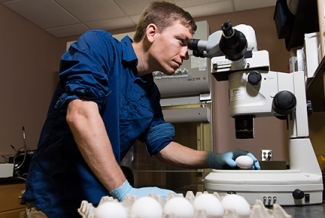 man with eggs and microscope