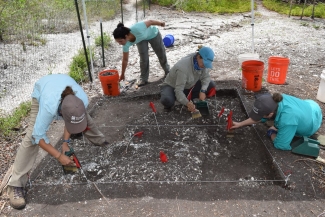 photo of four people on archeological dig, with trowels, brushes and buckets