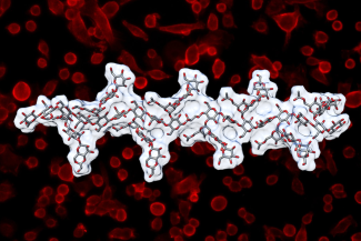 composite image of molecule and photography of human cells