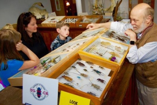 man with bugs under glass, kids