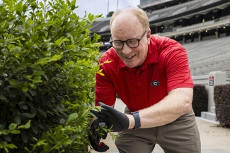 photo of man, clipping hedge in stadium