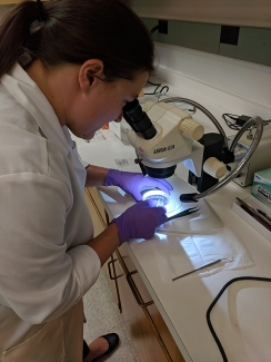 photo of woman with microscope and sample