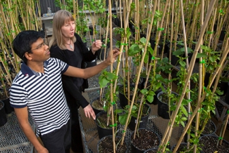 photo of man and woman with plants