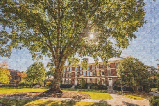 photo mosaic image of building, sky and trees