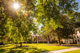 photo of sunny day with trees and buildings