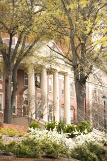 photo of building portico, with spring blooms