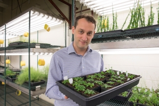 photo of man with case of small plants