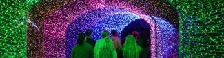 photo of people walking through a light tunnel