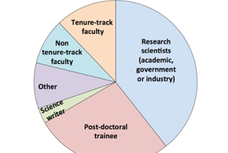 pie chart with words and colors