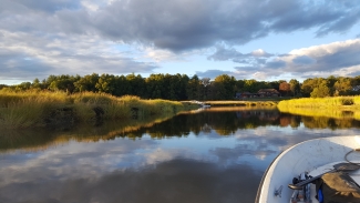 photo of coastal marsh spartina, day, with water