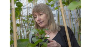 woman with plants