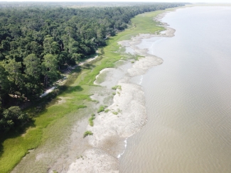 aerial photo of coastline in daylight