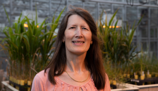 photo of woman in greenhouse