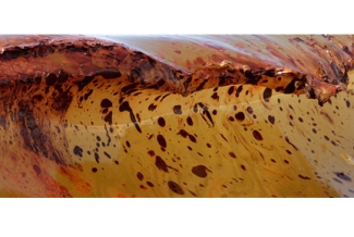 oil globs in surf - photo