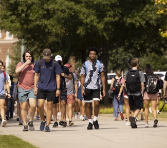 photo of people walking, with trees, day