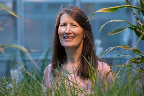 photo of woman in greenhouse, with plants