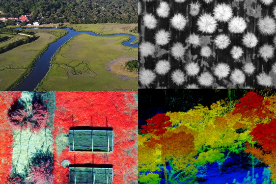 composite of four images, with aerial and infrared photos