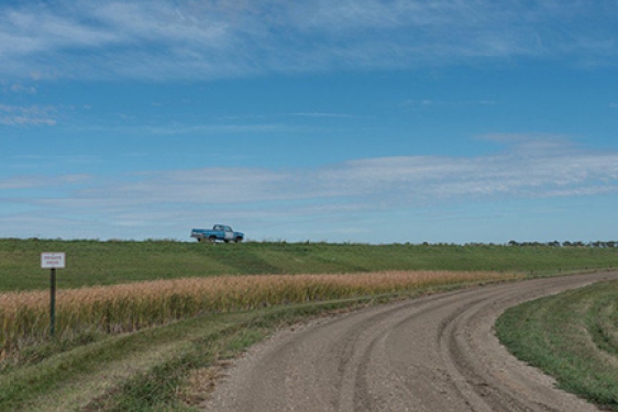 truck in a field, with sky