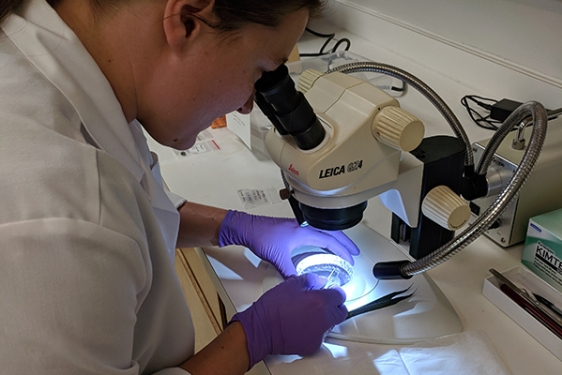 photo of woman with microscope and sample