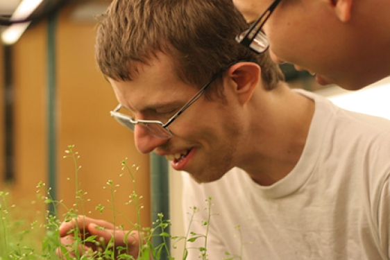 photo of men with plants