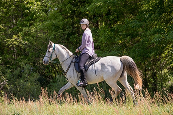 photo of woman on horseback