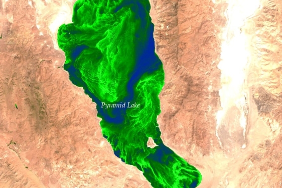 satellite photo of lake with large green patch of algae