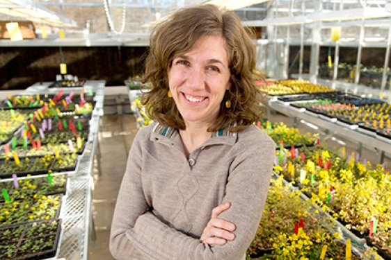 woman in greenhouse, photo