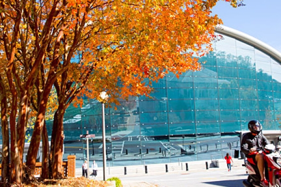 coliseum, with arbre and scooter