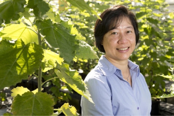 photo of woman in greenhouse garden