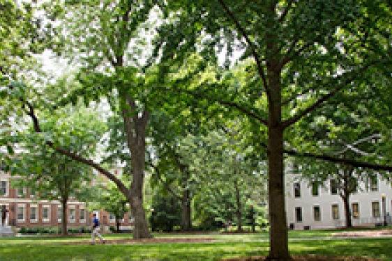 UGA North campus with trees