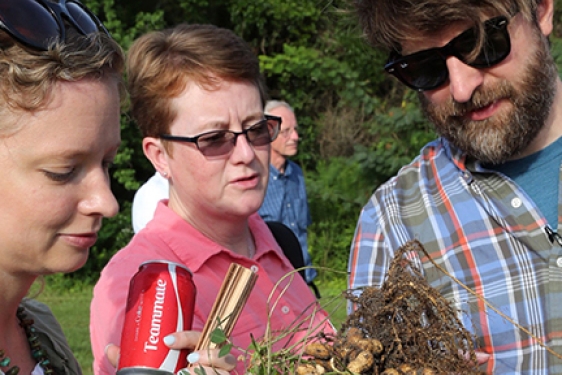 photo of two women and man looking at peanut plant