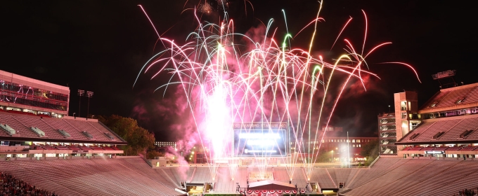 photo off fireworks in stadium, night sky