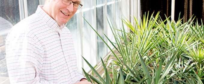 man with spiky plants 