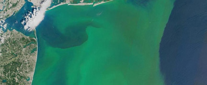 algae bloom photo from space