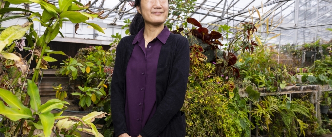 photo of woman in greenhouse, day