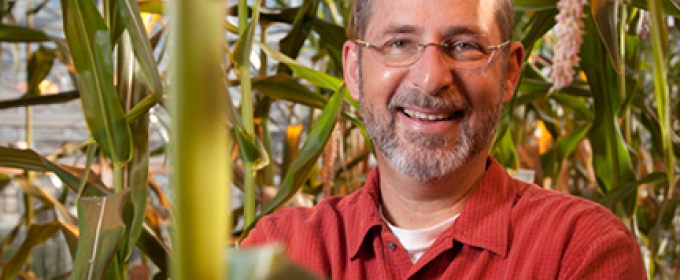 photo of man with corn stalks