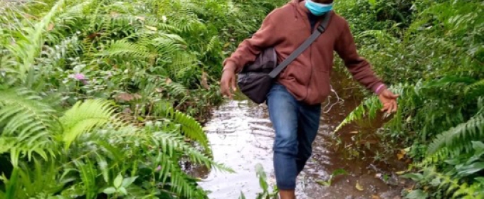 photo of man walking next to small river, with plants 