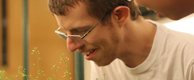 photo of men with plants