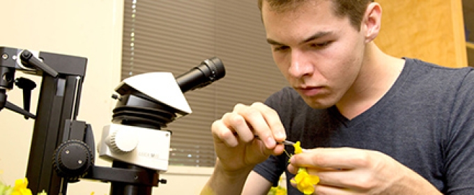 man with yellow flower and microscope