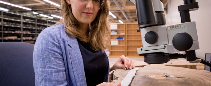 photo of woman with microscope and tree cookie