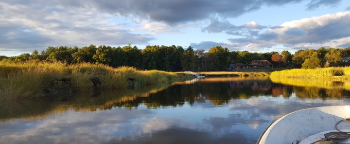 photo of coastal marsh spartina, day, with water