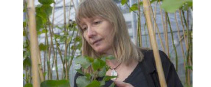 woman with plants