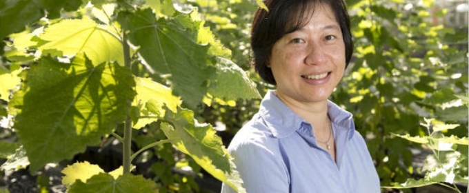 photo of woman in greenhouse garden