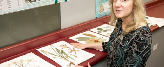 woman with plant illustrations