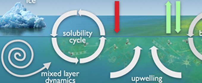 carbon ocean cycle diagram