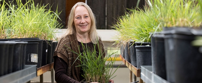 photo of woman with potted grass plants