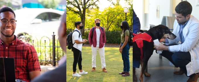 composite of three photos with people and a dog