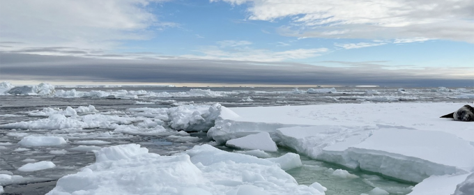 photo of icebergs and sea, with sky, day